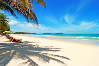 Картинка природа побережье море тропики отдых пальмы пляж
