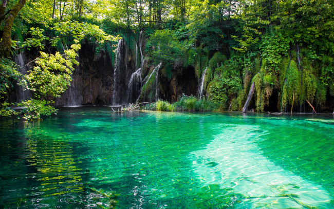 Обои картинки фото природа, водопады, плитвицкие, озера, хорватия, тропики, водопад, лес, озеро, вода