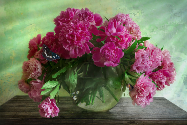 Обои картинки фото цветы, пионы, аквариум, ваза, столик, бабочка