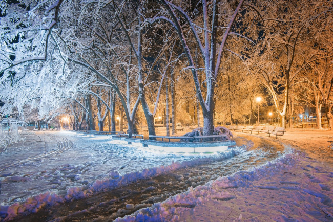 Обои картинки фото природа, парк, kazanlak, болгария, зима