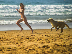 Картинка девушки -unsort+ блондинки +светловолосые купальник море песок собака