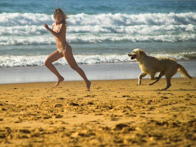 Обои картинки фото девушки, -unsort , блондинки,  светловолосые, купальник, море, песок, собака