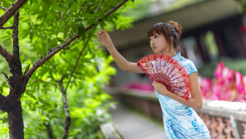 Картинка девушки -+азиатки азиатка дерево веер