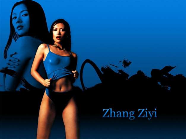 Обои картинки фото Zhang Ziyi, девушки