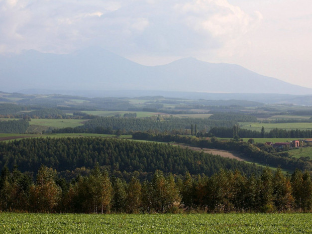 Обои картинки фото 