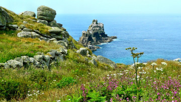 Картинка природа побережье цветы скалы луг трава мыс океан