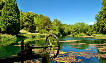 Картинка природа реки озера лето лес река трава водоросли зелень