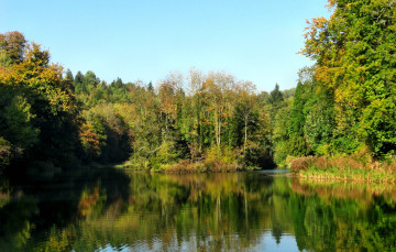 Картинка природа реки озера лес озеро покой