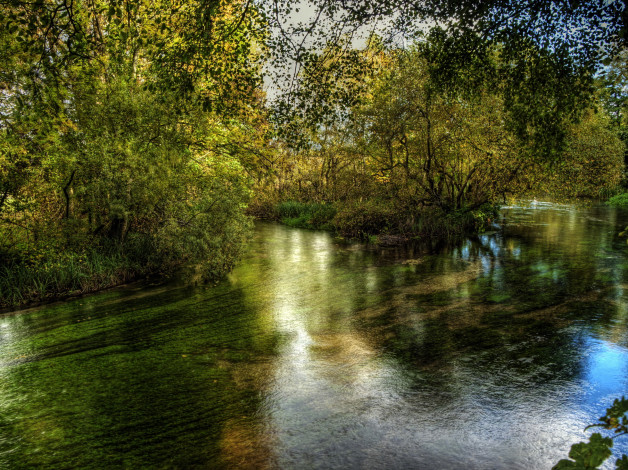 Обои картинки фото river, itchen, hampshire, англия, природа, реки, озера, река, лес