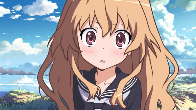 Обои картинки фото аниме, toradora, небо, девушка, взгляд, фон