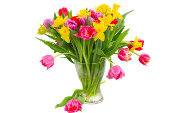 Картинка цветы букеты +композиции bouquet colorful flowers tulips тюльпаны