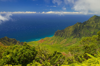 Картинка природа побережье зелень горы небо море панорама берег