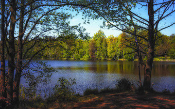 Картинка природа реки озера берег река осень лес деревья