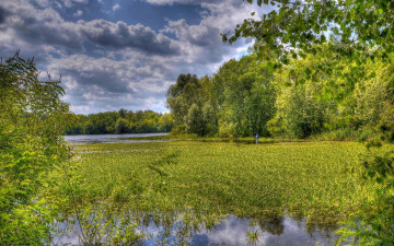 Картинка природа реки озера днепр заводь закат украина киев