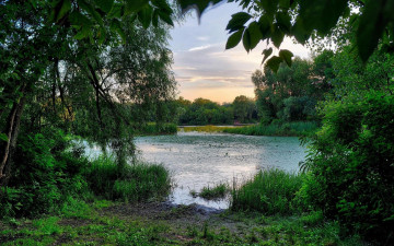 Картинка природа реки озера заводь закат украина киев днепр