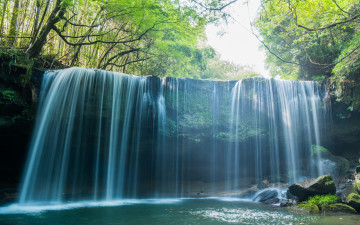 Картинка природа водопады камни деревья вода лес водопад