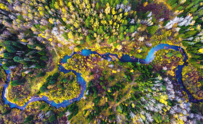Обои картинки фото река тугояковка – правый приток реки томь,  ларинский ландшафтный заказник,  томская область, природа, реки, озера, лес, панорама, река, осень