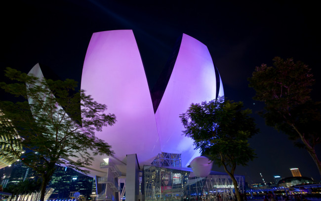 Обои картинки фото города, - здания,  дома, сингапур, необычное, фиолетовое, здание, ночью