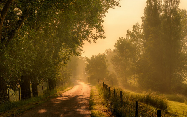 Обои картинки фото природа, дороги, утро, туман, дорога