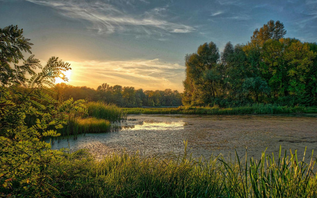 Обои картинки фото природа, реки, озера, украина, киев, закат, днепр, заводь