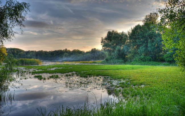 Обои картинки фото природа, реки, озера, закат, украина, киев, днепр, заводь