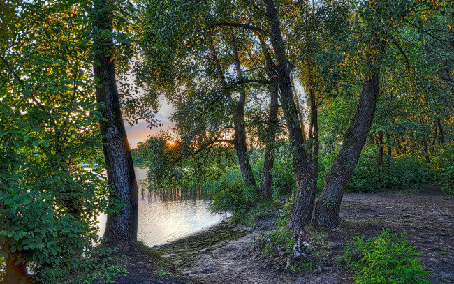 Обои картинки фото природа, реки, озера, заводь, закат, украина, киев, днепр