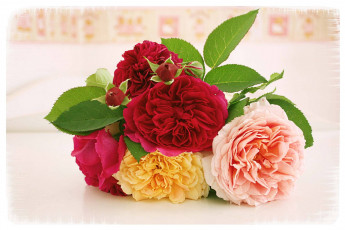 Картинка цветы розы букет разноцветный
