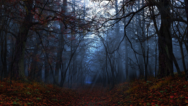 Обои картинки фото 3д, графика, nature, landscape, природа, ночь, лес, осень