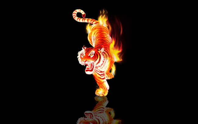 Обои картинки фото 3д, графика, animals, животные, отражение, тигр, горящий