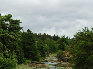обоя канада, онтарио, природа, реки, озера, водоросли, лес, река