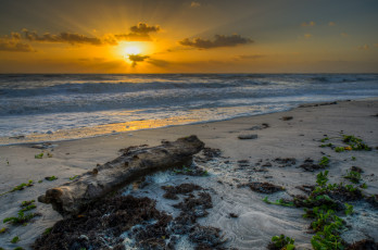 Картинка природа восходы закаты пейзаж берег океан