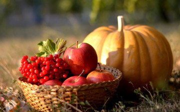 обоя еда, фрукты и овощи вместе, тыква, осень, калина, ягоды