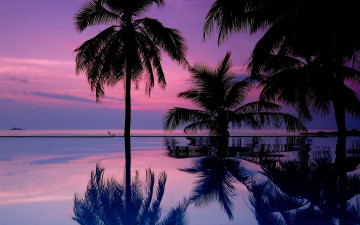 Картинка природа тропики силуэты отражение небо море закат пальмы