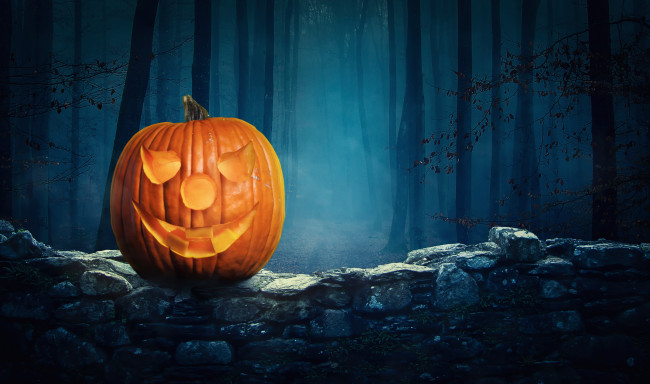 Обои картинки фото праздничные, хэллоуин, halloween, pumpkin, ночь, лес