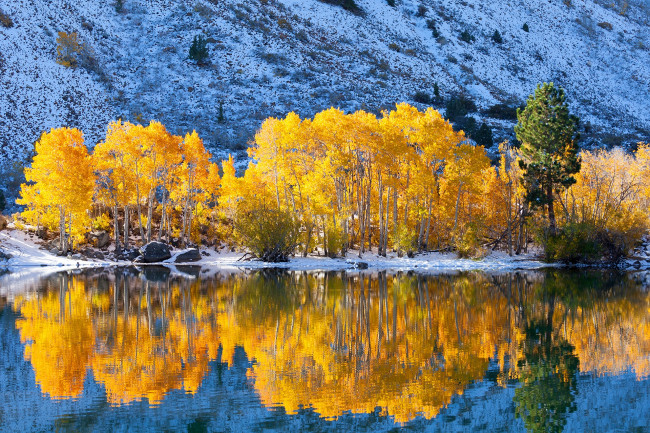 Обои картинки фото природа, реки, озера, осень, деревья, снег, озеро, гора