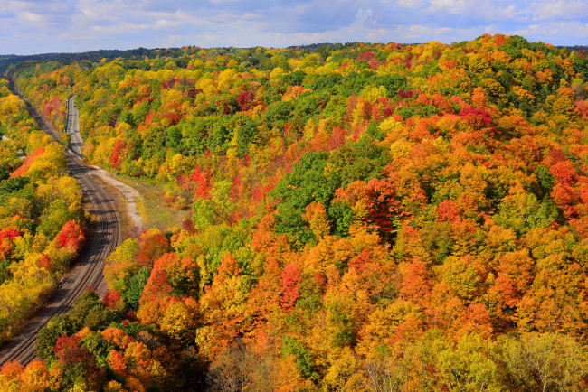 Обои картинки фото природа, лес, осень, дорога, деревья, небо