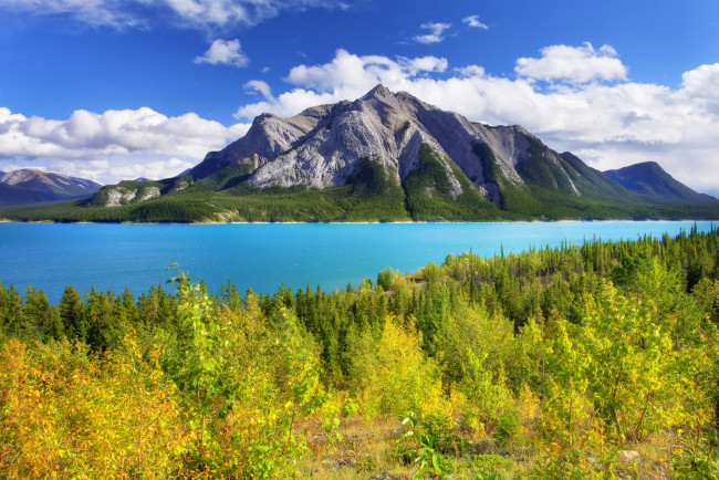 Обои картинки фото природа, реки, озера, abraham, lake, листья, осень, деревья, лес, озеро, горы, небо, канада, alberta, banff