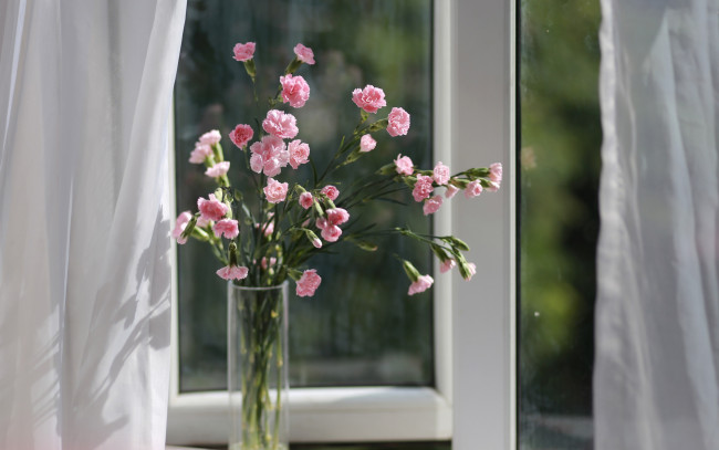 Обои картинки фото цветы, гвоздики, ваза, окно, букет