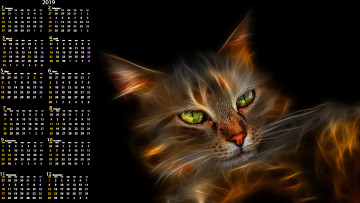 Картинка календари компьютерный+дизайн кот морда кошка