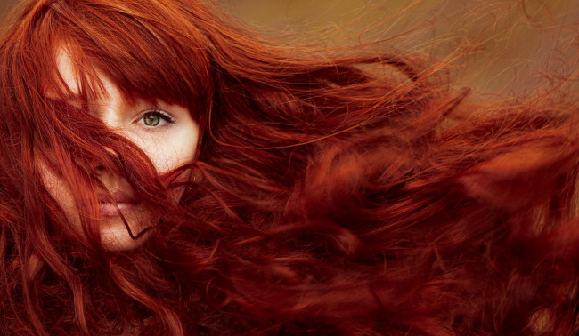 Обои картинки фото девушки, - лица,  портреты, рыжие, волосы