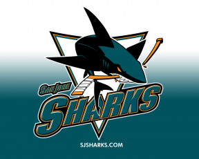 Картинка sharks спорт эмблемы клубов