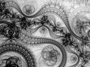 Картинка 3д графика fractal фракталы кружева черное белое