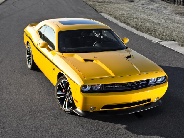 Обои картинки фото dodge, challenger, srt8, 392, yellow, jacket, автомобили, bird