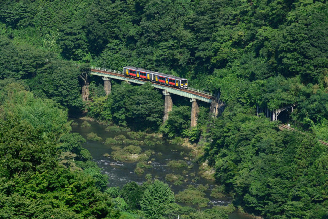 Обои картинки фото техника, вагоны, лес, мост, река