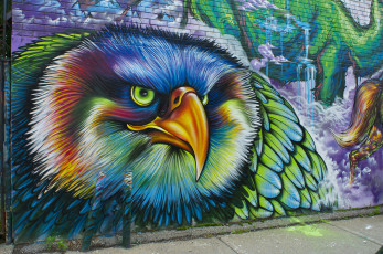 обоя разное, граффити, птица, стена