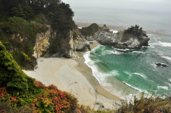 Картинка природа побережье растения вода море скалы берег