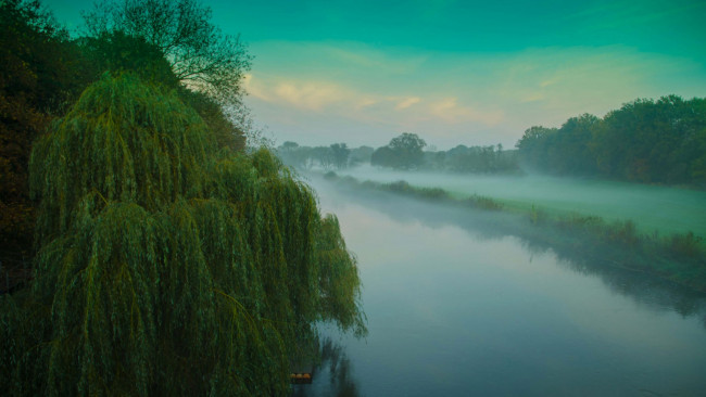 Обои картинки фото природа, реки, озера, деревья, река, туман, утро, небо