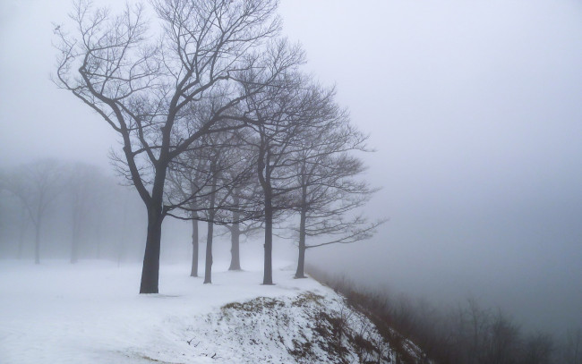 Обои картинки фото природа, зима, деревья, туман, снег