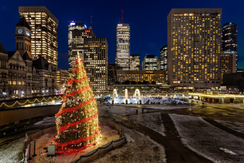 обоя nathan phillips square - toronto,  on, города, торонто , канада, елка, небоскребы, ночь