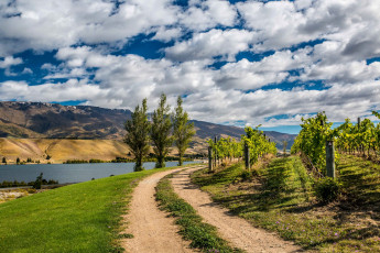 Картинка природа дороги облака небо новая зеландия горы река берега дорога деревья плантация виноградник